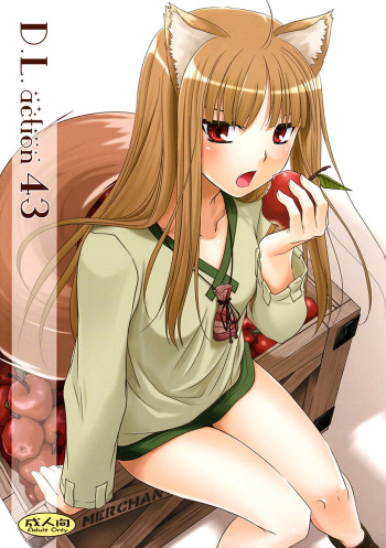 D.L. action 43 cover