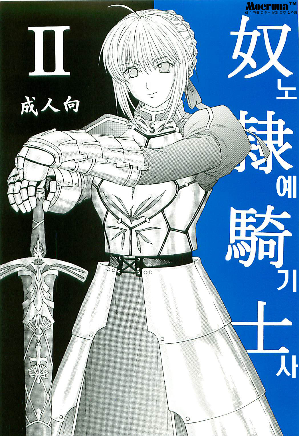 Dorei Kishi II page 1 full