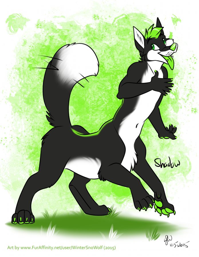 Artist - Wintersnowolf page 10 full