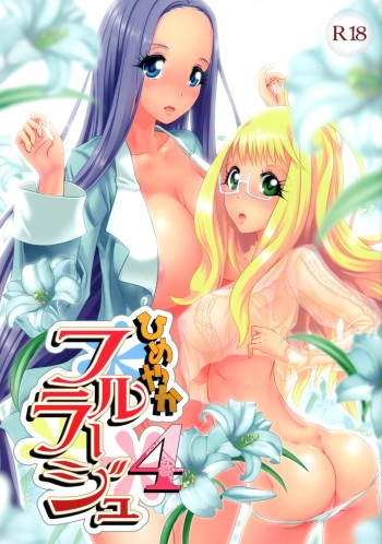 Himeyaka Full Rage 4 cover