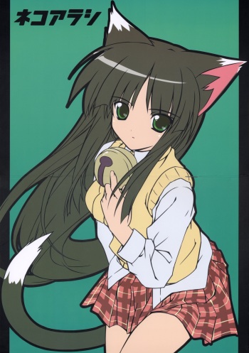 Neko Arashi cover