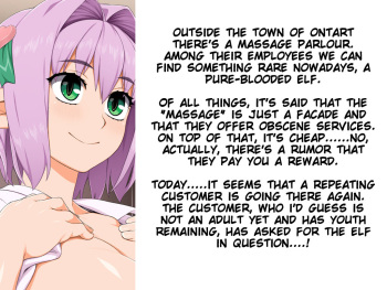Mikami Nipple cover