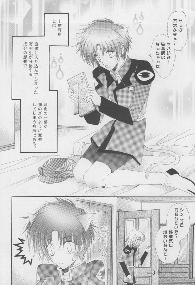 Nekomimi Zouryouchuu page 3 full