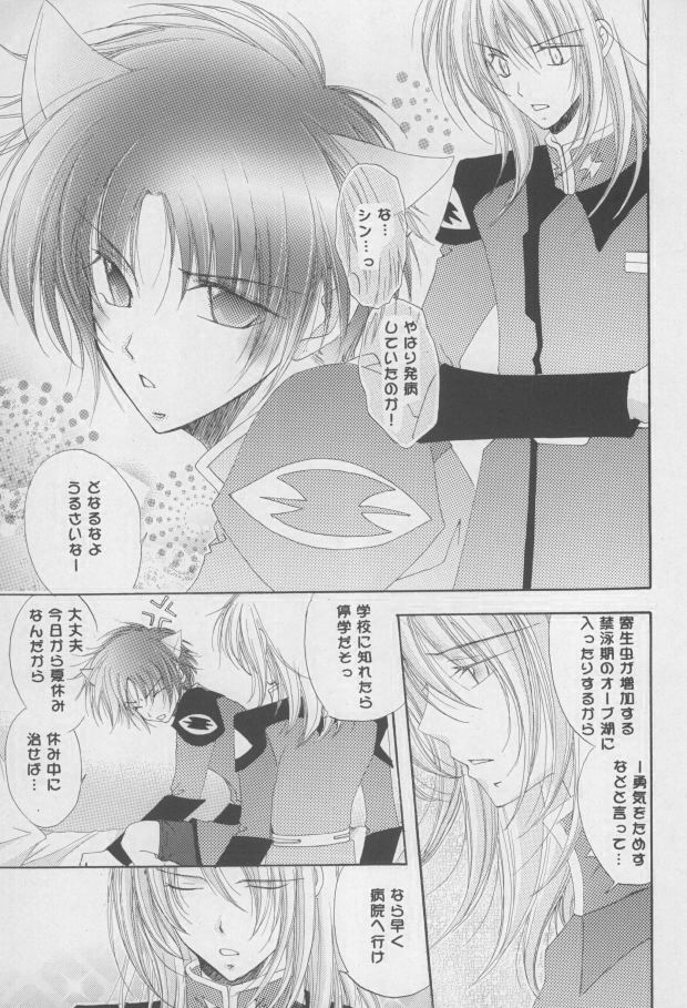 Nekomimi Zouryouchuu page 4 full