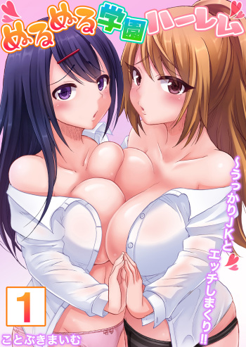 Nurunuru Gakuen Harem ~ Ukkari JK to Ecchi Shimakuri!! cover