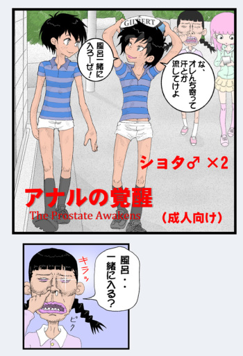 Anaru no kakusei cover