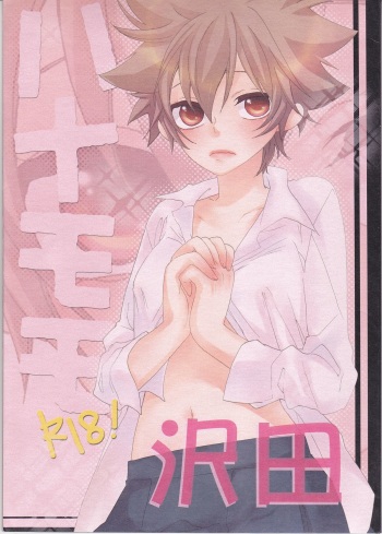 Hana Momo -Sawada- cover