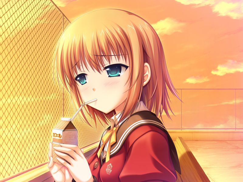 W. L. O. - Sekai Renai Kikou page 10 full
