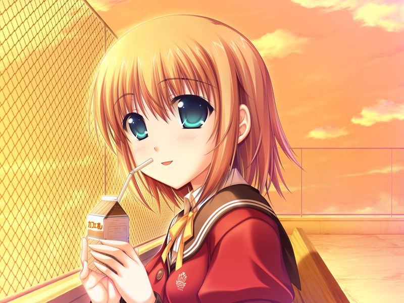 W. L. O. - Sekai Renai Kikou page 8 full