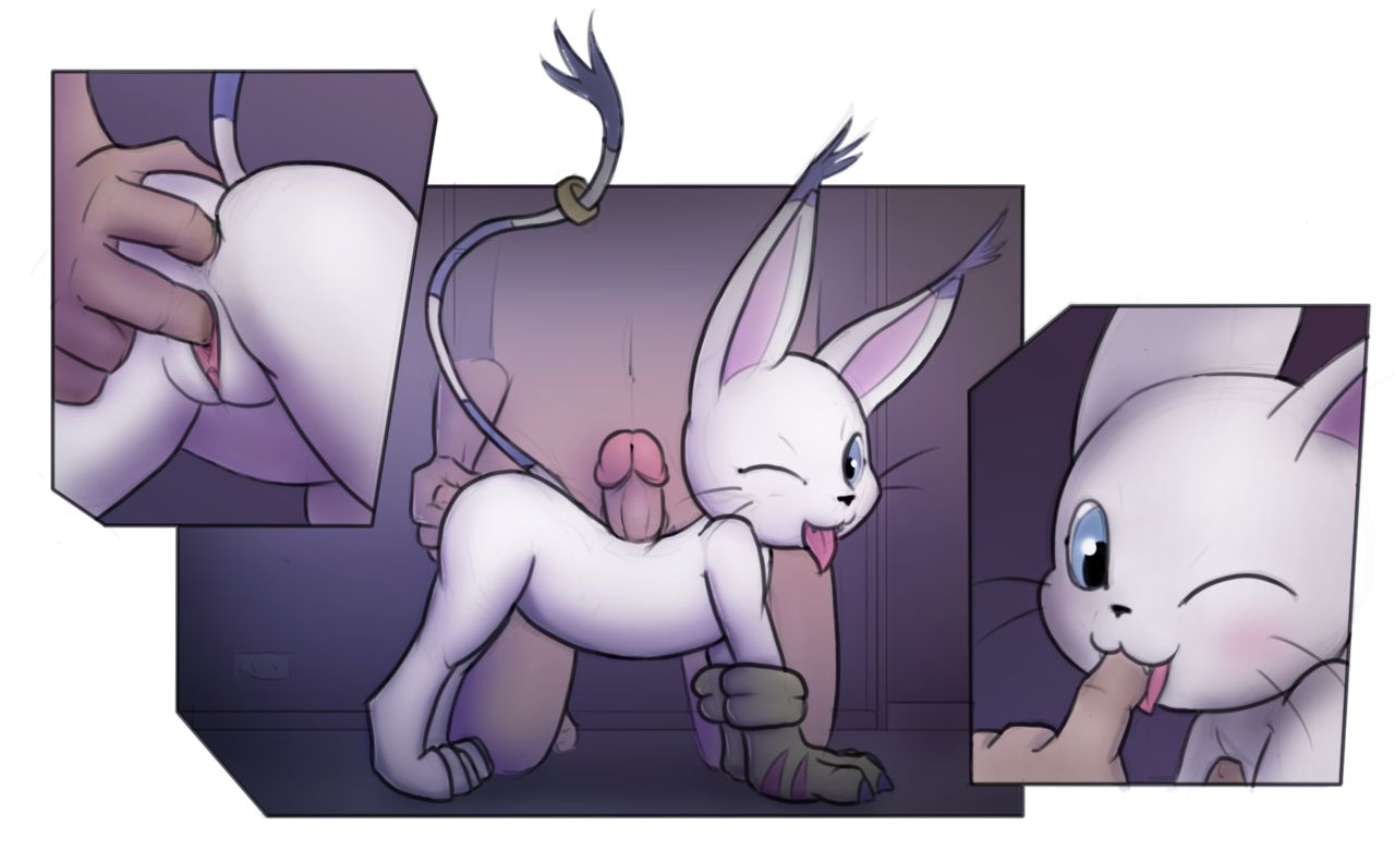 Gatosutra page 6 full