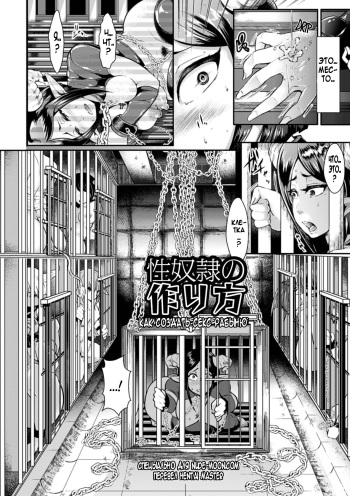 Seidorei no Tsukurikata | How to Make a Sex Slave cover