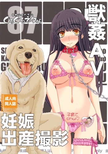 Shiawase no Katachi no Guruguru Netachou 87 Juukan AV Ninshin Shuusan Satsuei cover