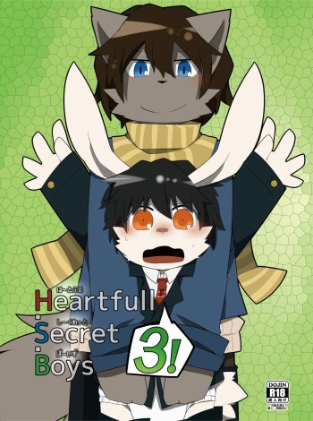 Heartfull Secret Boys 3 cover