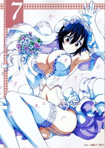 Nisenisekoi 7 cover