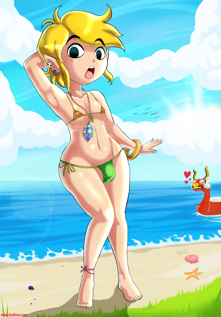 Toon Link page 5 full