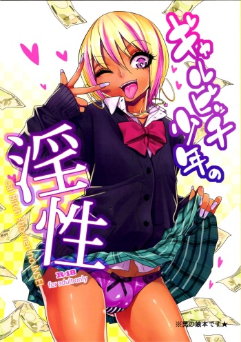 Gal Bitch sho-nen no INSEI cover