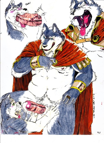 The Wolf King cover