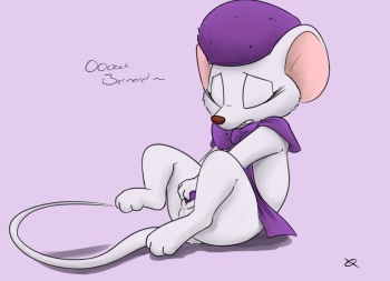 the rescuers cover