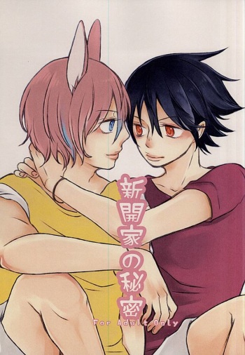 Shinkai-ka no Himitsu cover