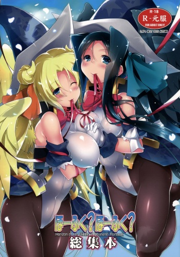 Hofuku? Hofuku? Soushuuhon cover