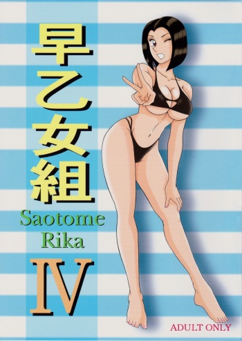 Saotome-gumi IV cover