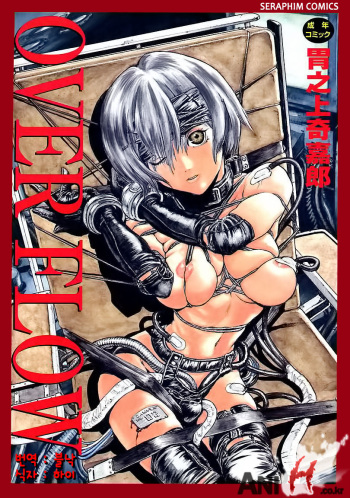 OVER FLOW cover