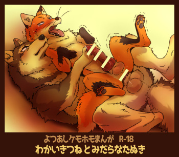 Tanuki × Kitsune cover