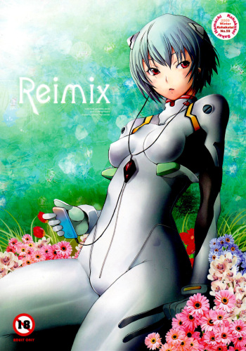 Reimix cover