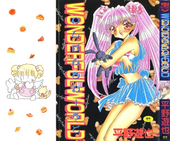 Wonderful World cover