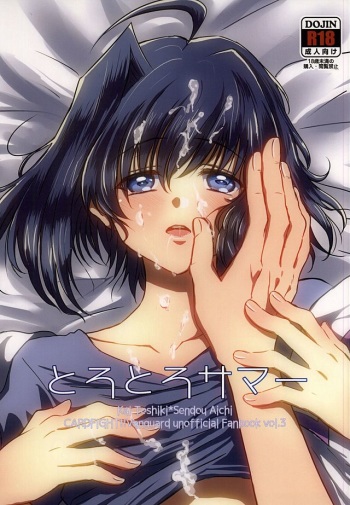 Torotoro Summer cover
