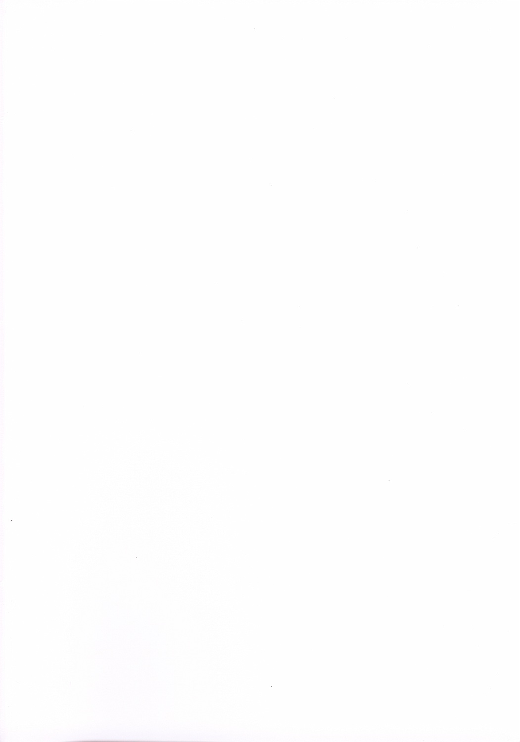 Poyopacho Storm page 2 full