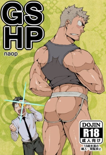 GSHP cover