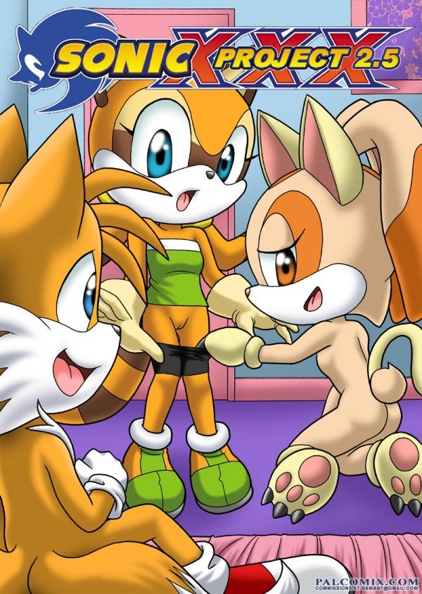 Sonic Project XXX 2.5 page 1 full