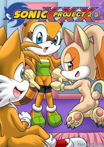 Sonic Project XXX 2.5 cover