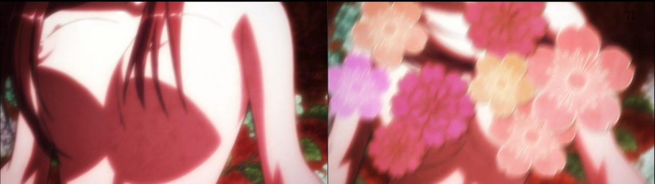 Hyakka Ryoran Samurai Girls DVD/TV comparison page 6 full