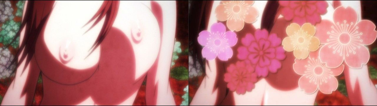 Hyakka Ryoran Samurai Girls DVD/TV comparison page 7 full