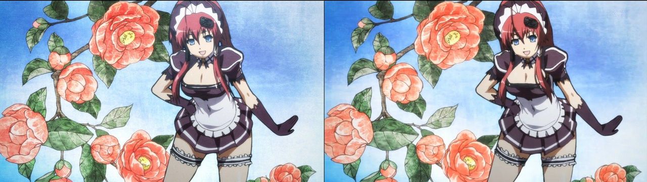 Hyakka Ryoran Samurai Girls DVD/TV comparison page 8 full