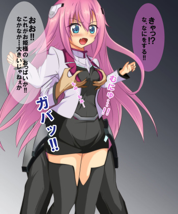 Ohime-sama ga Niku Dorei ni Ochiru made cover