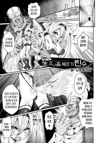 Youshoku Nama Onahole Seizouki Rinsch | Onahole Manufacturing Equipment Rinsch cover