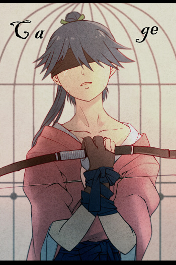 Cage cover