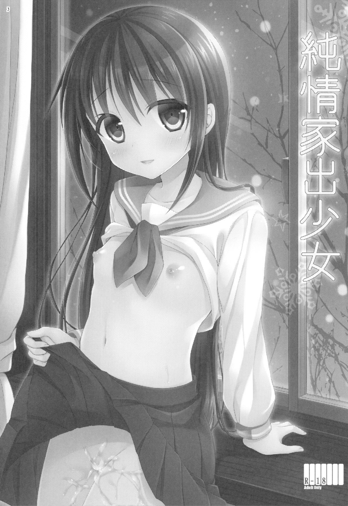 Junjou Iede Shoujo page 2 full