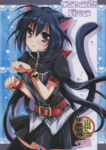WONDeRFUL KITTeN cover