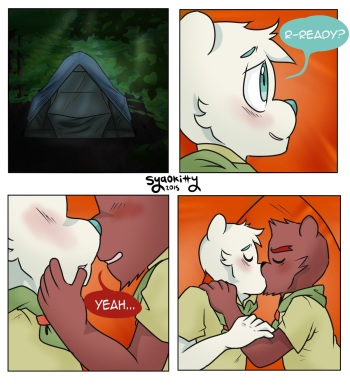 Camp cover