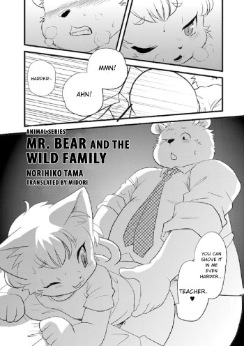 Norihiko Tama - Mr. Bear and the Wild Family cover