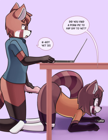 Red Panda Siblings cover