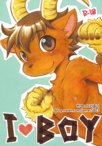 I Love BOY cover