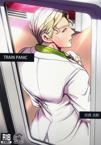 TRAIN PANIC cover