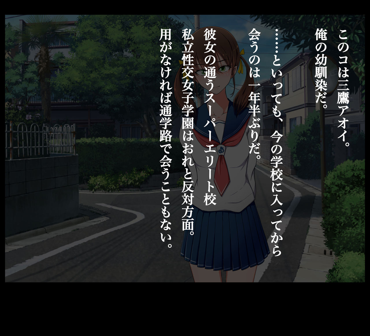 Shiritsu Seikou Joshigakuen Seikousai 2015 page 10 full