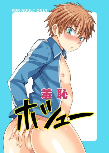 Shuuchi Hoshuu cover