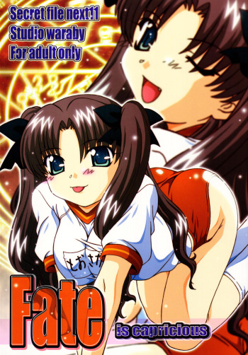 SECRET FILE NEXT 11 - Fate is capricious cover
